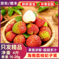 万邦海南妃子笑荔枝4斤