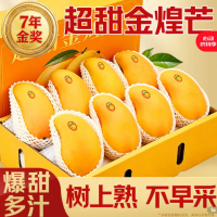 田良季金煌芒果8斤